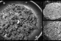 Conchiglioni02
