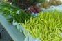 Farmers-Market-006