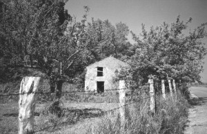sannicola-barn