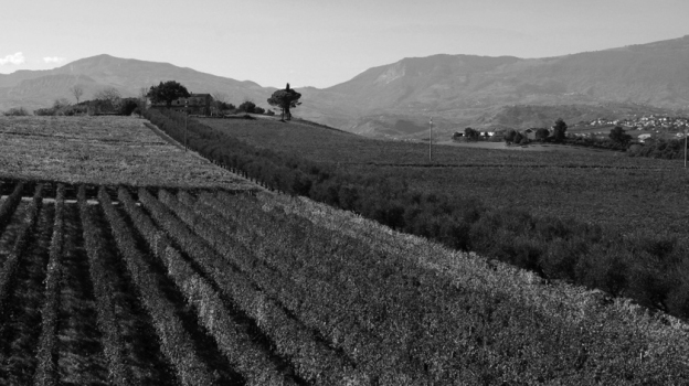 Un_Bicchiere_di_Vino