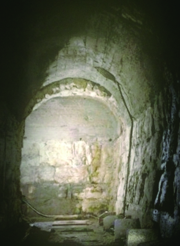 GLADIATORI 011